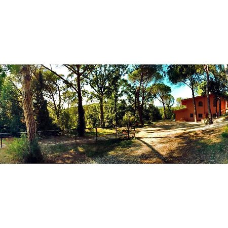 Agriturismo Poggio Al Pino Montelupo Fiorentino Zewnętrze zdjęcie