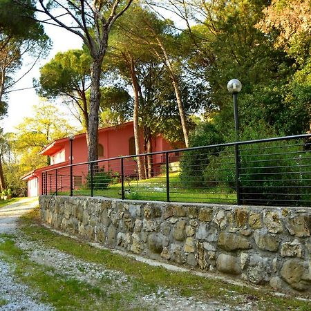 Agriturismo Poggio Al Pino Montelupo Fiorentino Zewnętrze zdjęcie