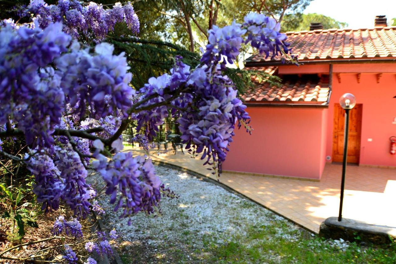 Agriturismo Poggio Al Pino Montelupo Fiorentino Zewnętrze zdjęcie