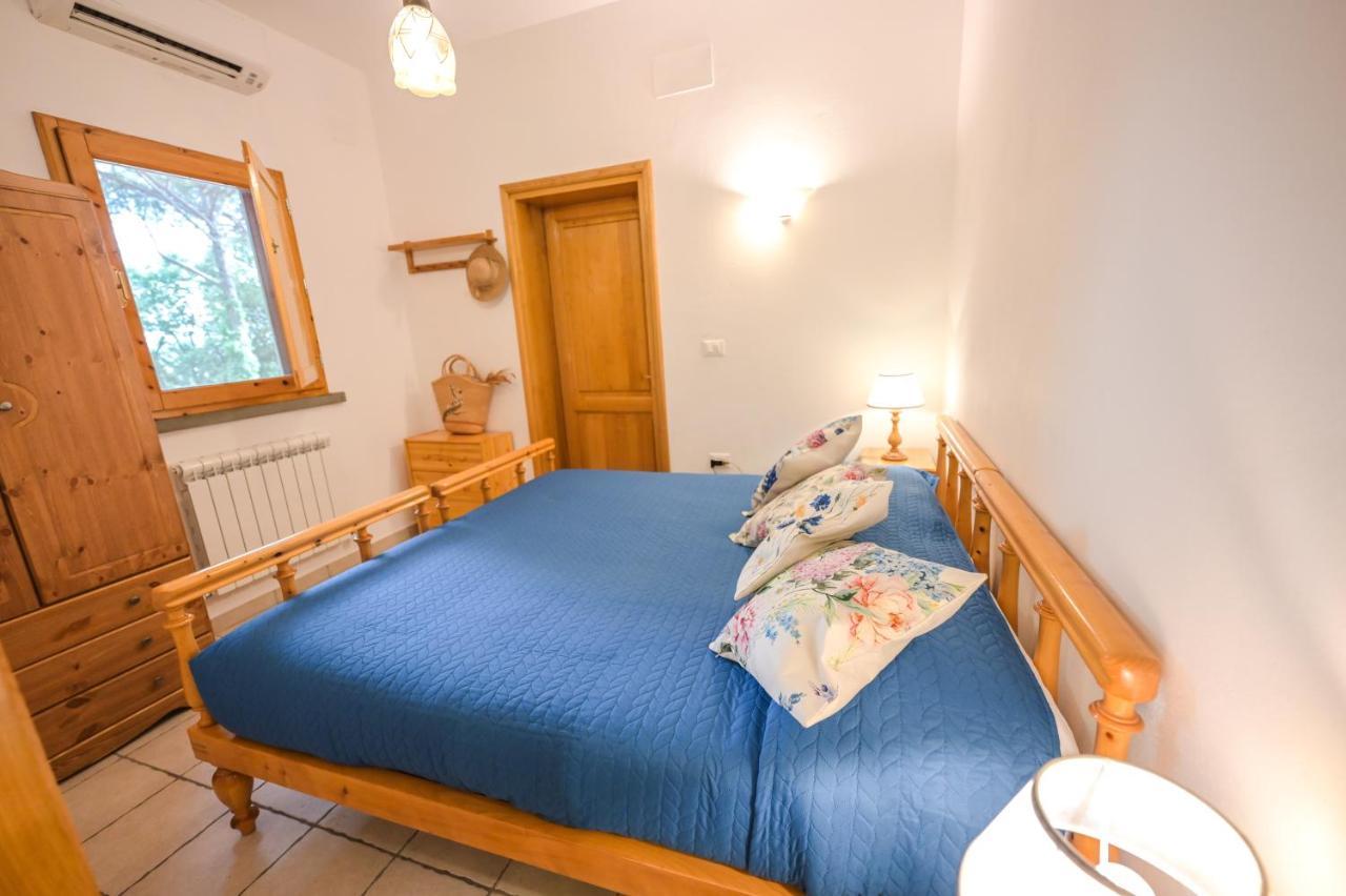 Agriturismo Poggio Al Pino Montelupo Fiorentino Zewnętrze zdjęcie