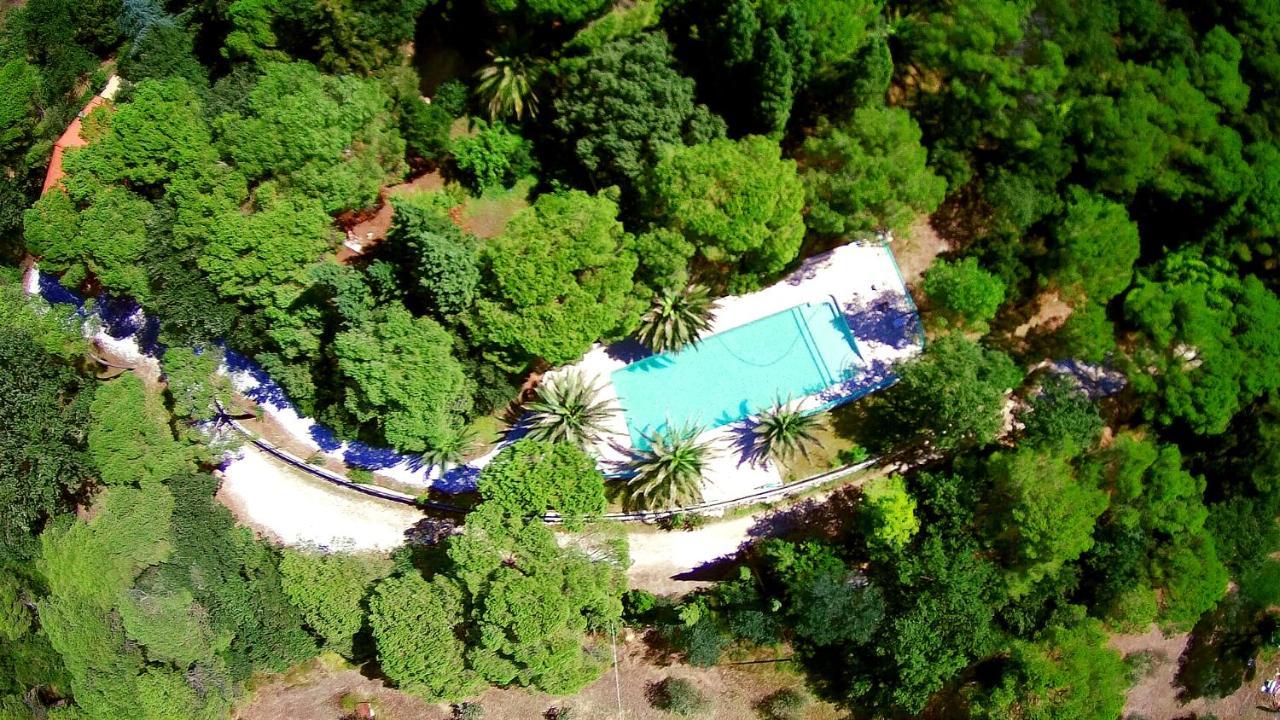 Agriturismo Poggio Al Pino Montelupo Fiorentino Zewnętrze zdjęcie