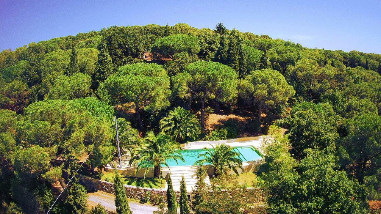 Agriturismo Poggio Al Pino Montelupo Fiorentino Zewnętrze zdjęcie